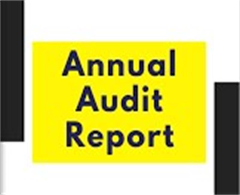 2021 Auditor’s Report EN